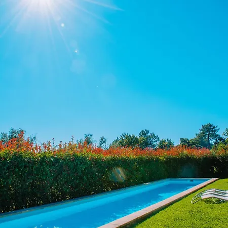 Just Like - Casa Do Guimbra Villa *