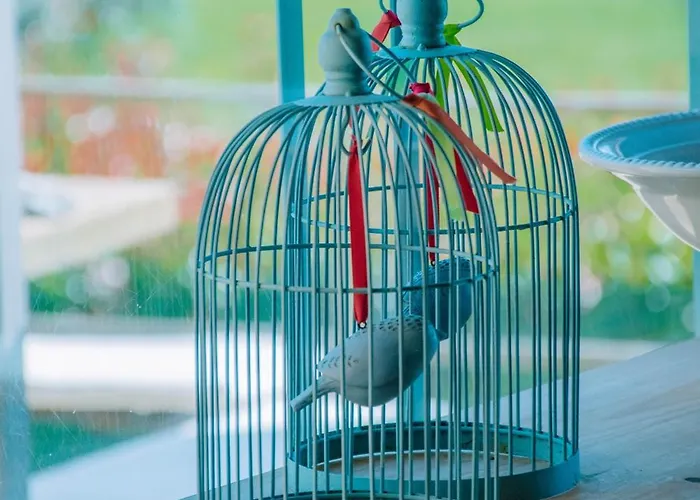 Just Like - Casa Do Guimbra カミーニャ