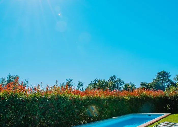 Just Like - Casa Do Guimbra ヴィラ *