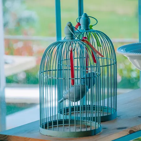 Just Like - Casa Do Guimbra Caminha